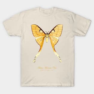 Moth - Malaysian Moon Moth, Actias Maenas Leto female 4 T-Shirt